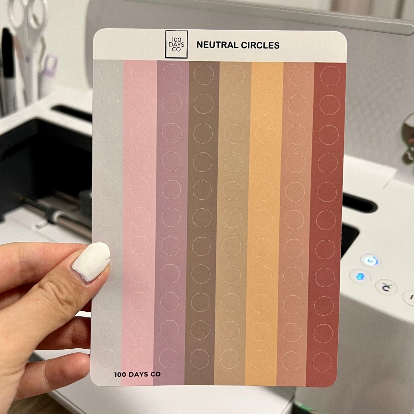 Neutral Circles Sticker Sheet